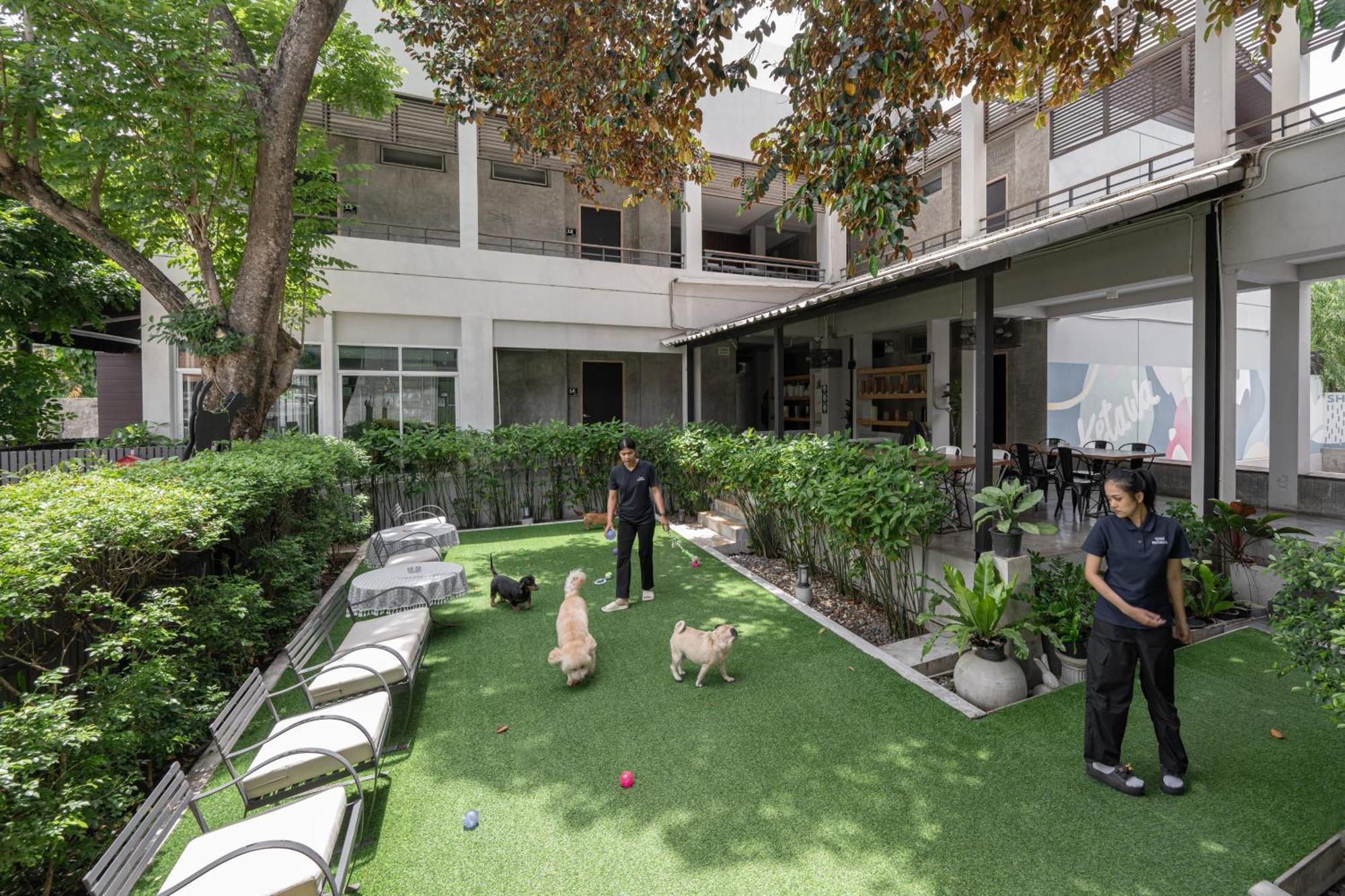 Ketawa Pet Friendly Hotel Chiang Mai Exterior foto