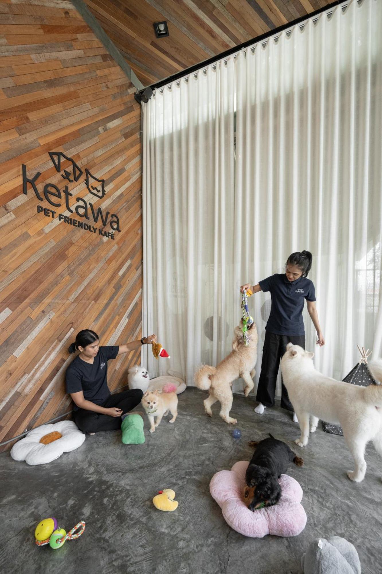 Ketawa Pet Friendly Hotel Chiang Mai Exterior foto